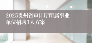 2025贵州省审计厅所属事业单位招聘3人方案