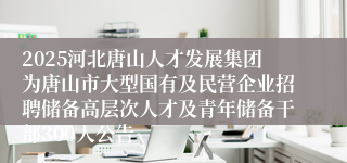 2025河北唐山人才发展集团为唐山市大型国有及民营企业招聘储备高层次人才及青年储备干部300人公告