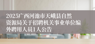 2025广西河池市天峨县自然资源局关于招聘机关事业单位编外聘用人员1人公告