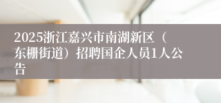 2025浙江嘉兴市南湖新区（东栅街道）招聘国企人员1人公告