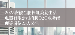 2025安徽合肥长虹美菱生活电器有限公司招聘O2O业务经理等岗位25人公告