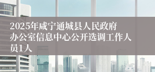 2025年咸宁通城县人民政府办公室信息中心公开选调工作人员1人