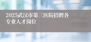 2025武汉市第三医院招聘各专业人才岗位