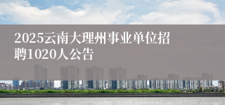 2025云南大理州事业单位招聘1020人公告