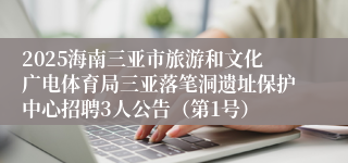 2025海南三亚市旅游和文化广电体育局三亚落笔洞遗址保护中心招聘3人公告（第1号）