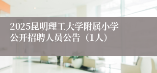 2025昆明理工大学附属小学公开招聘人员公告（1人）