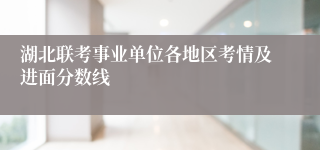 湖北联考事业单位各地区考情及进面分数线