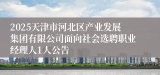 2025天津市河北区产业发展集团有限公司面向社会选聘职业经理人1人公告