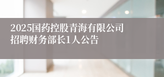 2025国药控股青海有限公司招聘财务部长1人公告