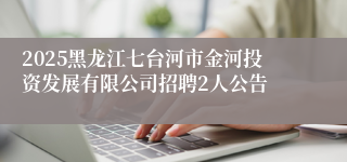 2025黑龙江七台河市金河投资发展有限公司招聘2人公告