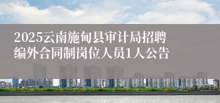 2025云南施甸县审计局招聘编外合同制岗位人员1人公告
