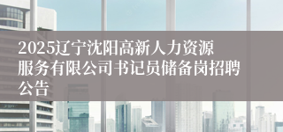 2025辽宁沈阳高新人力资源服务有限公司书记员储备岗招聘公告