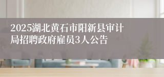 2025湖北黄石市阳新县审计局招聘政府雇员3人公告