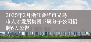 2025年2月浙江金华市义乌市人才发展集团下属分子公司招聘6人公告