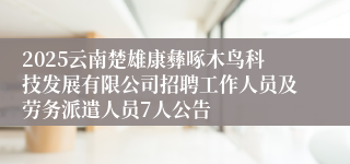 2025云南楚雄康彝啄木鸟科技发展有限公司招聘工作人员及劳务派遣人员7人公告