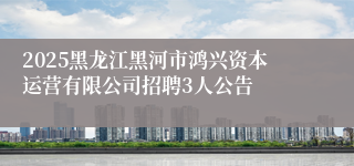 2025黑龙江黑河市鸿兴资本运营有限公司招聘3人公告