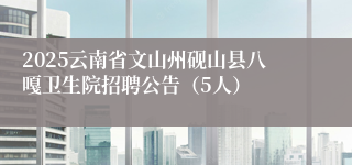2025云南省文山州砚山县八嘎卫生院招聘公告（5人）