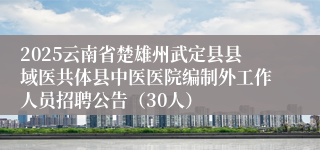 2025云南省楚雄州武定县县域医共体县中医医院编制外工作人员招聘公告（30人）