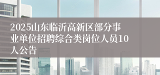 2025山东临沂高新区部分事业单位招聘综合类岗位人员10人公告