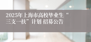 2025年上海市高校毕业生“三支一扶”计划 招募公告