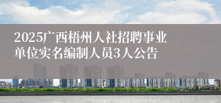 2025广西梧州人社招聘事业单位实名编制人员3人公告