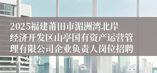 2025福建莆田市湄洲湾北岸经济开发区山亭国有资产运营管理有限公司企业负责人岗位招聘1人公告