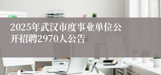 2025年武汉市度事业单位公开招聘2970人公告