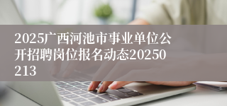 2025广西河池市事业单位公开招聘岗位报名动态20250213