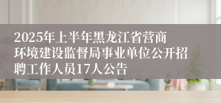 2025年上半年黑龙江省营商环境建设监督局事业单位公开招聘工作人员17人公告
