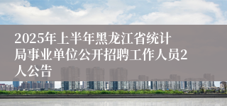 2025年上半年黑龙江省统计局事业单位公开招聘工作人员2人公告