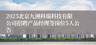 2025北京九洲科瑞科技有限公司招聘产品经理等岗位5人公告