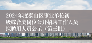 2024年度泰山区事业单位初级综合类岗位公开招聘工作人员拟聘用人员公示（第三批）