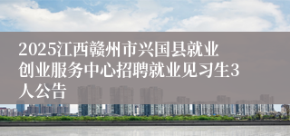 2025江西赣州市兴国县就业创业服务中心招聘就业见习生3人公告