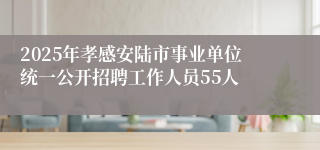 2025年孝感安陆市事业单位统一公开招聘工作人员55人