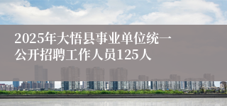 2025年大悟县事业单位统一公开招聘工作人员125人