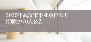 2025年武汉市事业单位公开招聘2970人公告