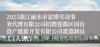 2025浙江丽水市雷博劳动事务代理有限公司招聘莲都区国有资产能源开发有限公司派遣制员工1人公告