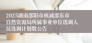 2025湖南邵阳市核减邵东市自然资源局所属事业单位选调人员选调计划数公告