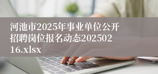 河池市2025年事业单位公开招聘岗位报名动态20250216.xlsx