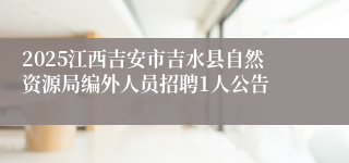 2025江西吉安市吉水县自然资源局编外人员招聘1人公告