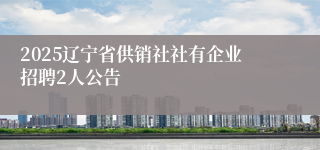 2025辽宁省供销社社有企业招聘2人公告