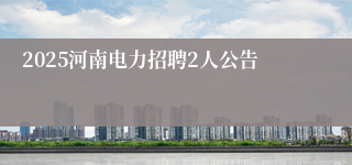 2025河南电力招聘2人公告