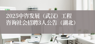 2025中咨发展（武汉）工程咨询社会招聘3人公告（湖北）