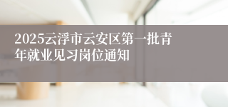 2025云浮市云安区第一批青年就业见习岗位通知