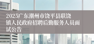 2025广东潮州市饶平县联饶镇人民政府招聘后勤服务人员面试公告
