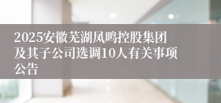 2025安徽芜湖凤鸣控股集团及其子公司选调10人有关事项公告