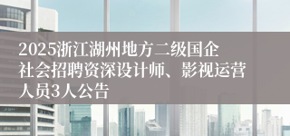 2025浙江湖州地方二级国企社会招聘资深设计师、影视运营人员3人公告