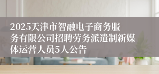 2025天津市智融电子商务服务有限公司招聘劳务派遣制新媒体运营人员5人公告