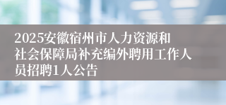 2025安徽宿州市人力资源和社会保障局补充编外聘用工作人员招聘1人公告