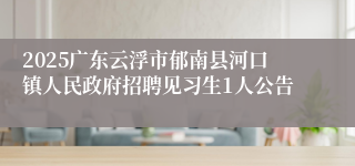 2025广东云浮市郁南县河口镇人民政府招聘见习生1人公告